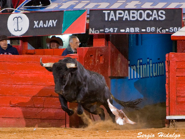 A porta gayola