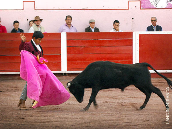 Soltando la punta del capote