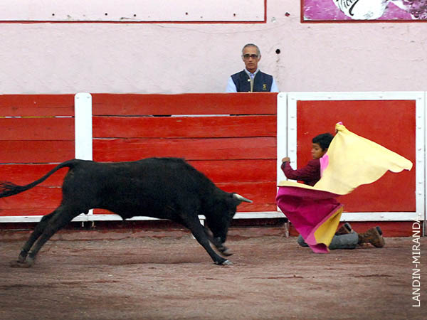 Alejandro inicia el festejo