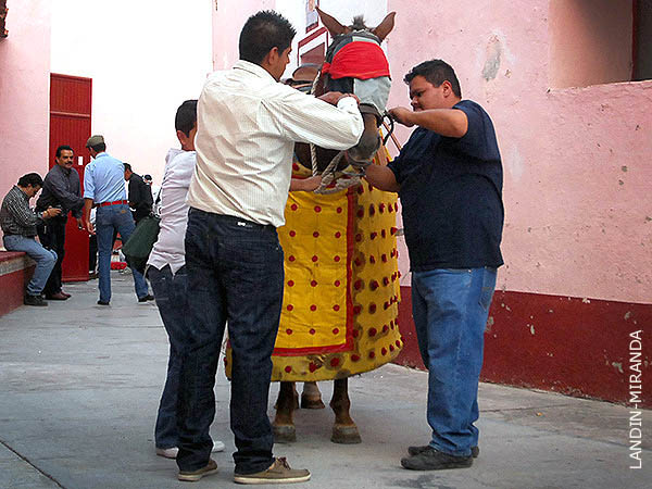 Empetando la jaca