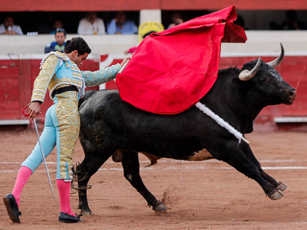 Barriendo los lomos