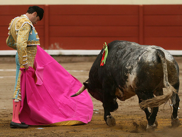 Dibujada Vernica del maestro Ponce