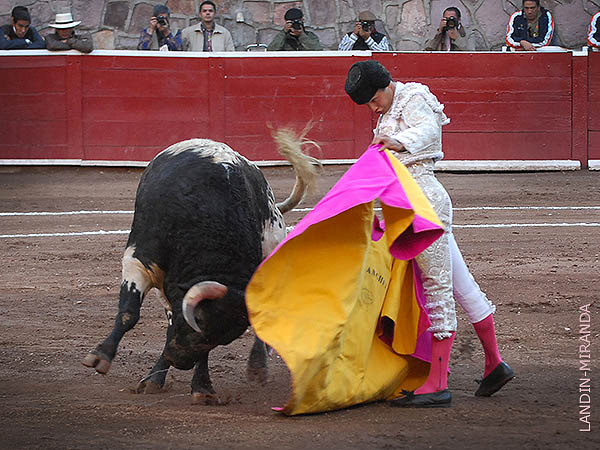 Vernicas al berrendo