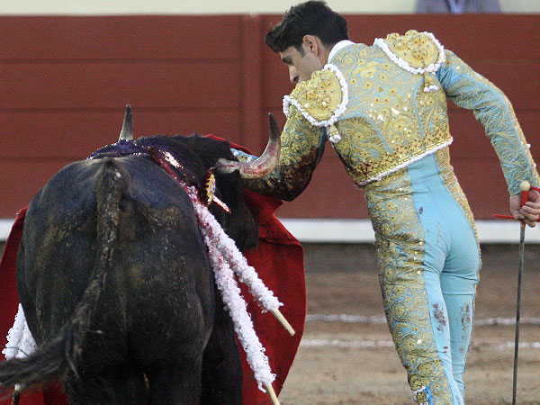 Los pitones en la hombrera