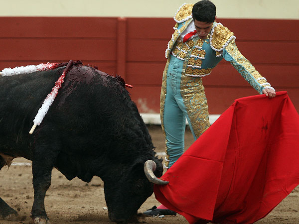 Oficio y elegancia