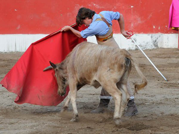 Abrochando de pecho