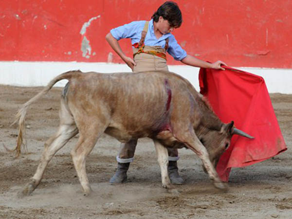 Mostrando el camino