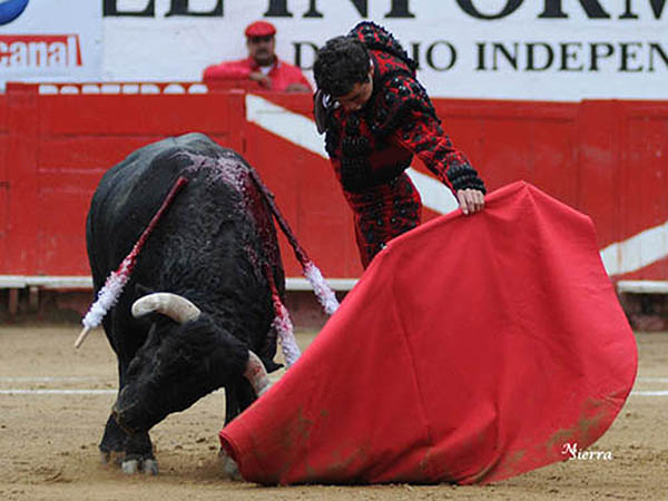 En tipo del toro de San Mateo