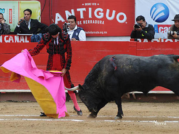 Tore francamente bien al tercero