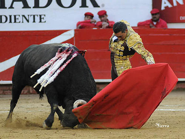 Brill la veterana de Eulalio