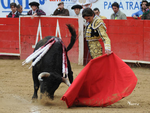 Etapa torera que est gozando