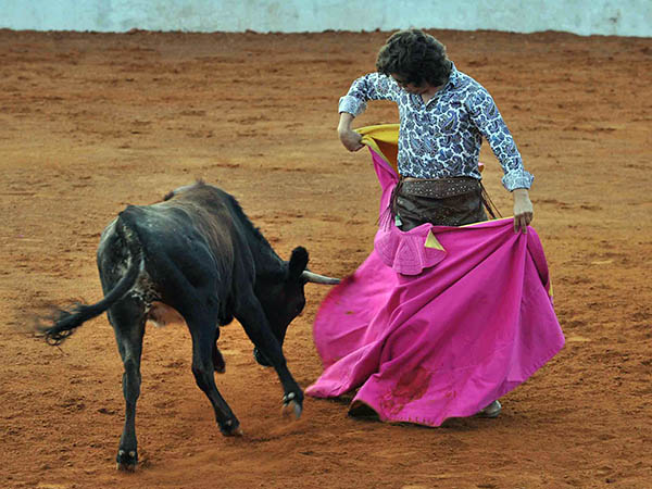 Ejecutando una chicuelina