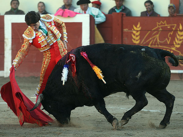 Maestro del toreo