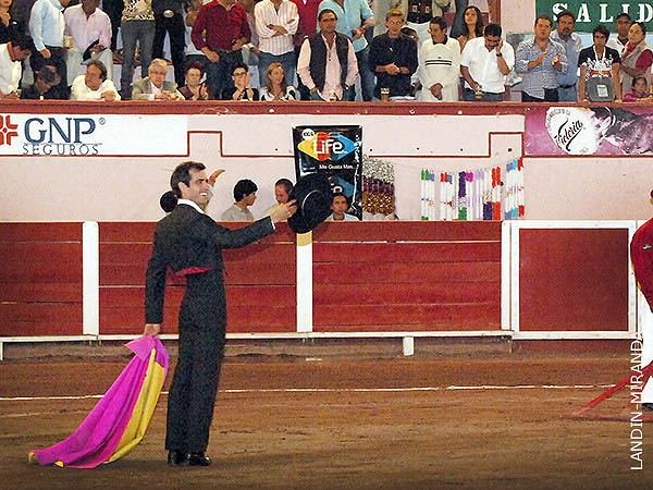 Recogiendo el cario y las palmas