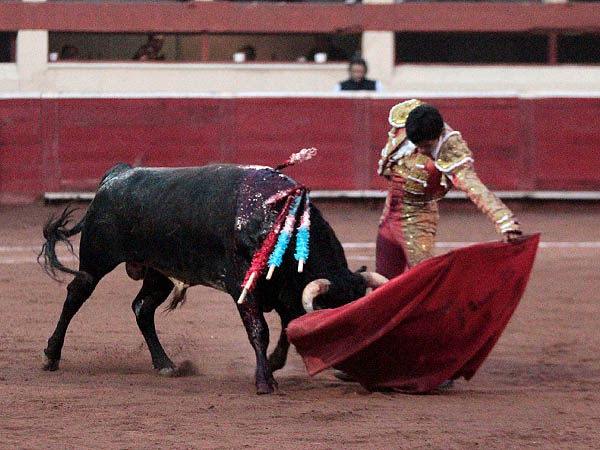 Templado toreo con la franela