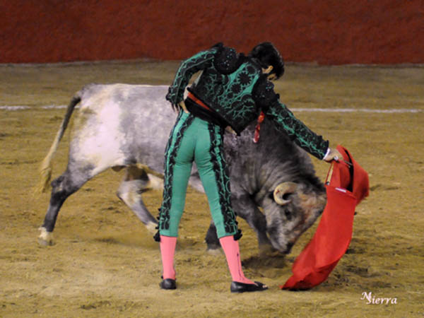 Jaleado en la faena