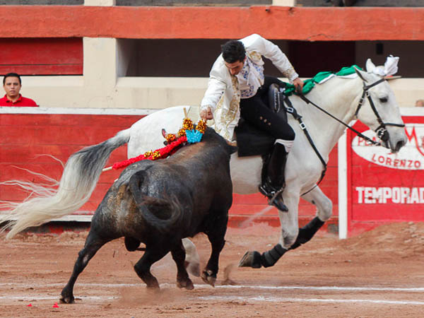 Banderilla corta