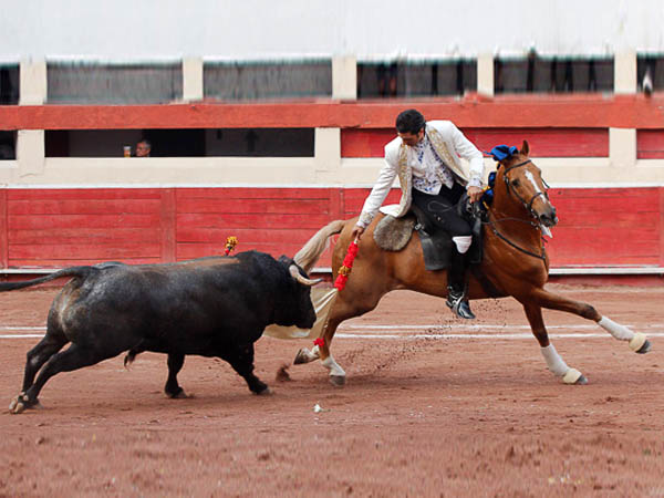 La monta de Pedro Louceiro III