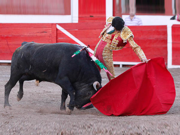 Tirando del ejemplar