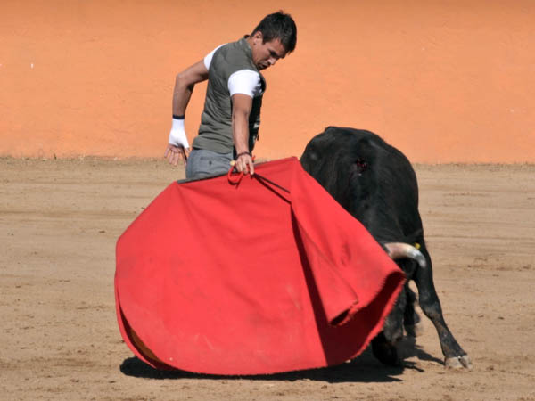 Corre la pasin y la entrega