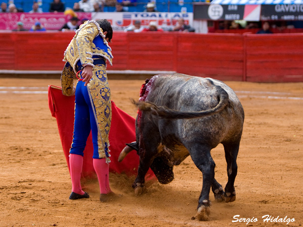 Pisando los terrenos del toro