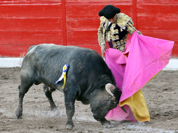 Vernicas con sello tapato