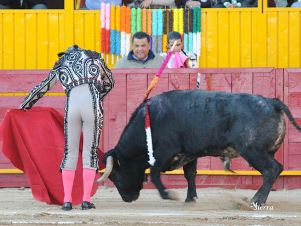 La primer faena del Pana