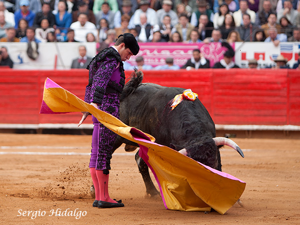 Una larga de antologa