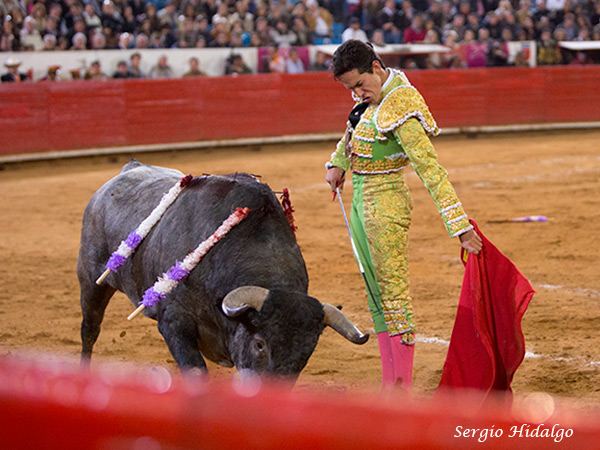 Torero con clase