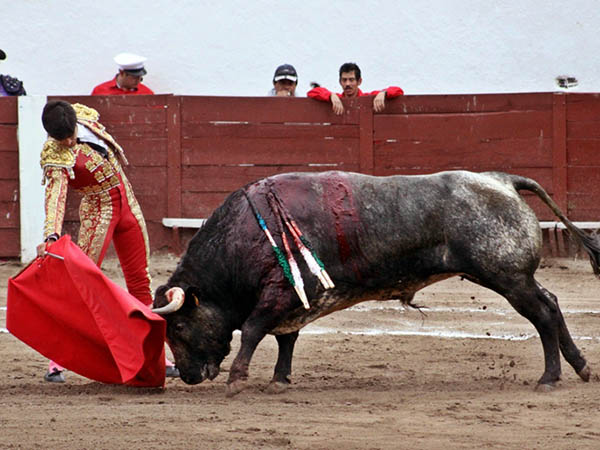 Contundente en Juchipila