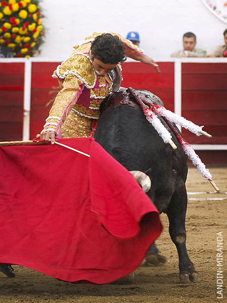 Dramatismo en la plaza