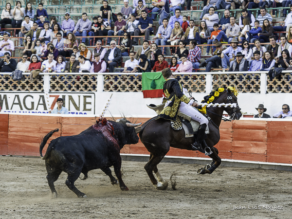 Toreo de costado