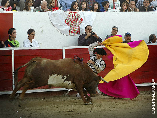 Sac casta para levantar la tarde