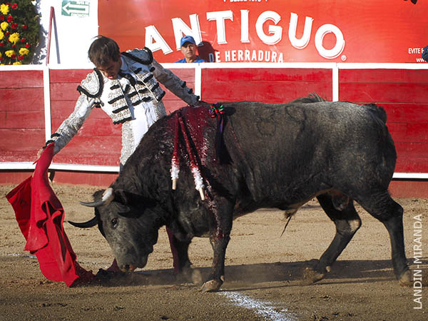 La gente lo aclam a gritos