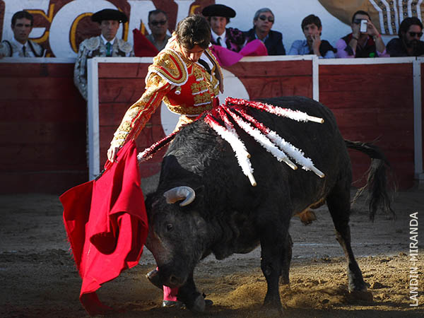 Temple galo