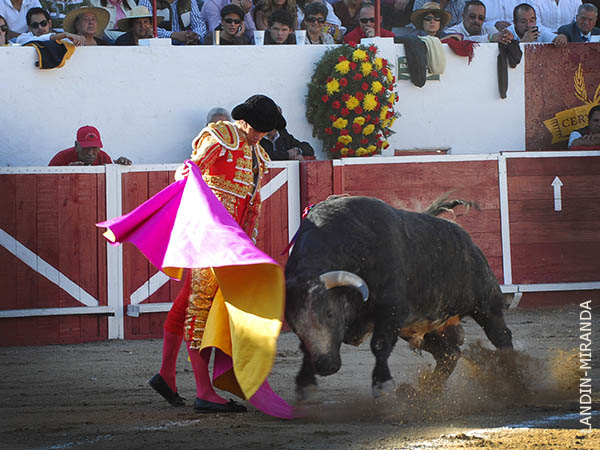 Vernicas al careto