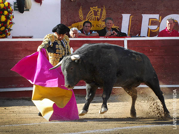 Zotoluco abre el festejo