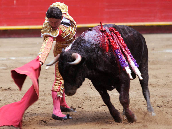 El toro de Ernesto Gutirrez