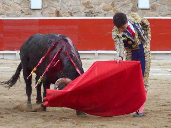 Tirando del ejemplar