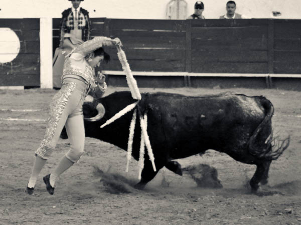 Tres buenos pares de banderillas