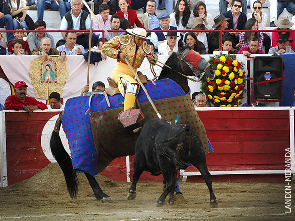 La cabeza a media altura