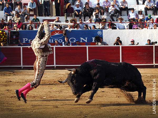 El vuelo de Baclis