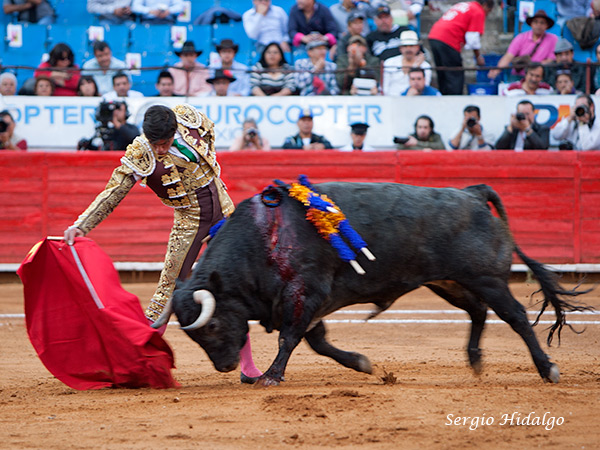 Tirando del toro