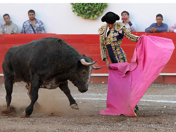 Lances al del Rosedal