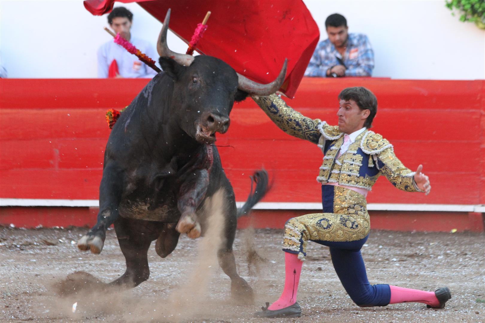 Rodilla en tierra