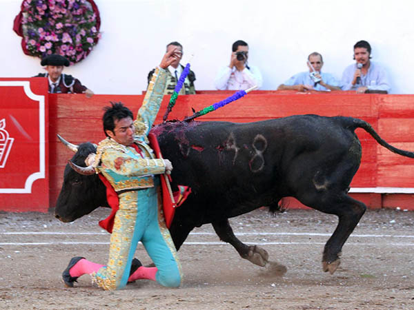 Molinete de hinojos