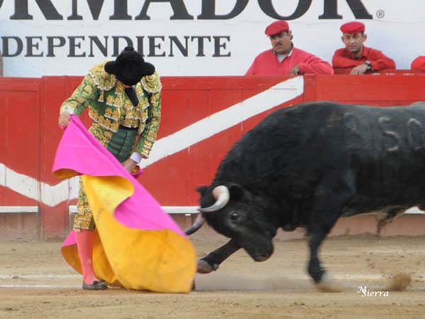 Unas vernicas de ensueo