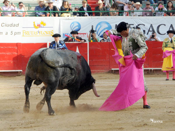 Tena nobleza y calidad