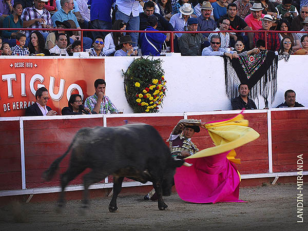 Larga de hinojos