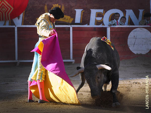 Lance elegantemente a la vernica